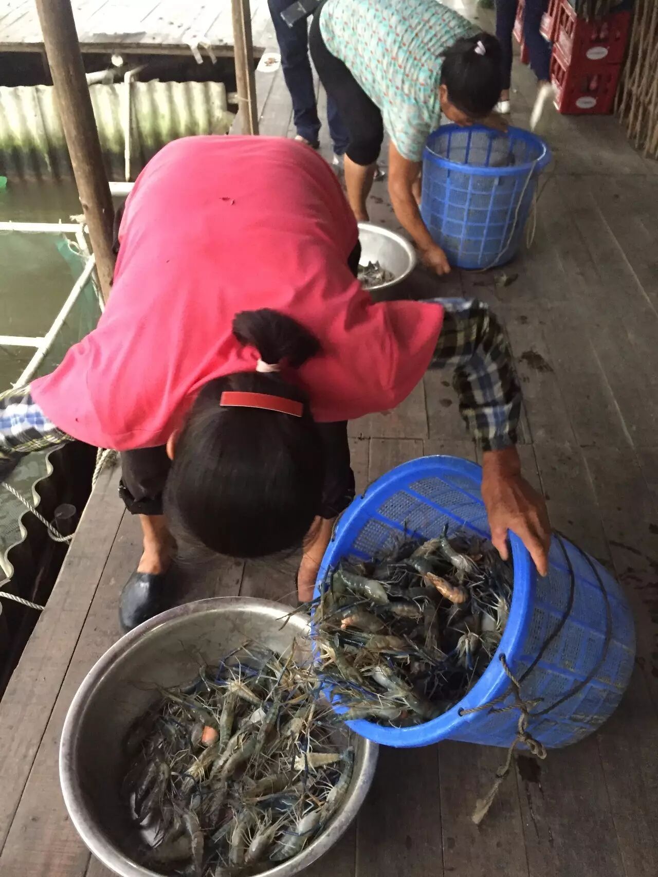 想要吃到新鲜美味的罗氏虾,约定南兴钓虾场!