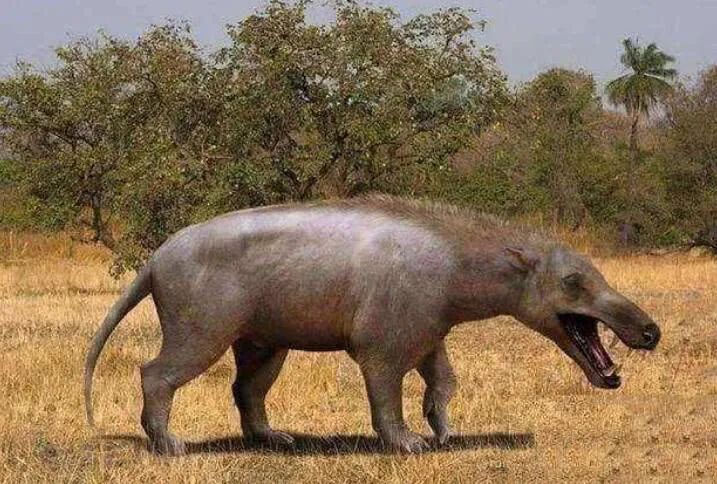 世间存在神秘生物_世间神秘生物存在的原因_世间神秘生物存在于哪里