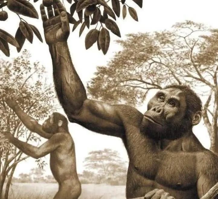 世间神秘生物存在的原因_世间存在神秘生物_世间神秘生物存在于哪里