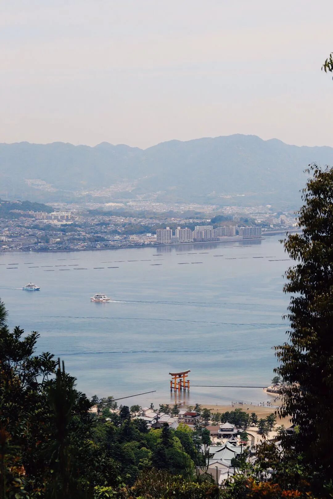 宫岛 从弥山上俯瞰濑户内海 猫爱鱼荒 微信公众号文章阅读 Wemp