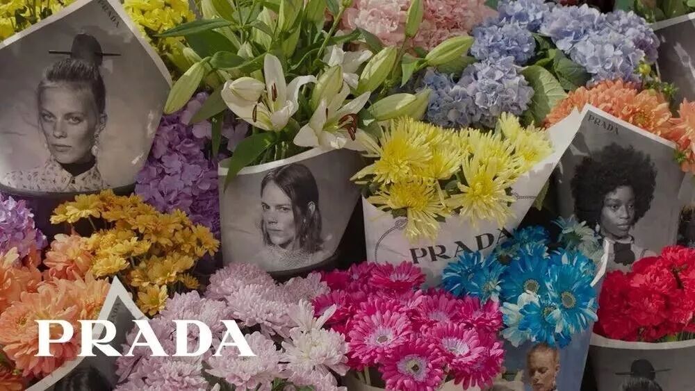 欢迎参加parada时尚追悼会 Typeschool 微信公众号文章阅读 Wemp