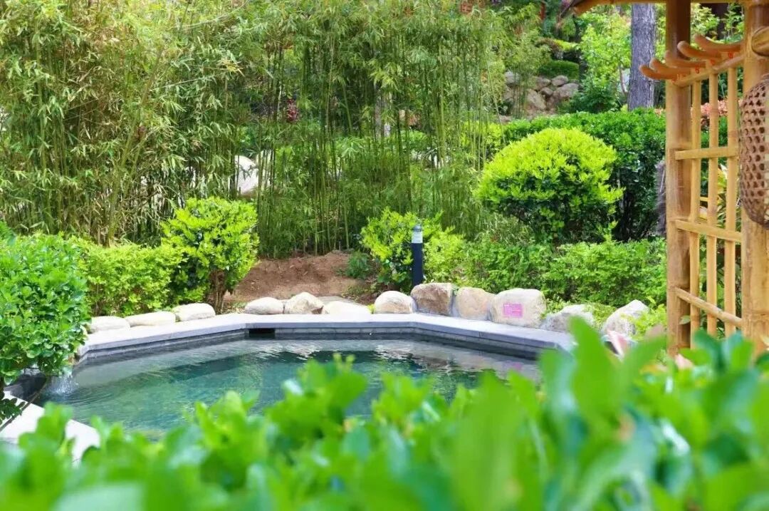 spring温泉蒙山康谷part.
