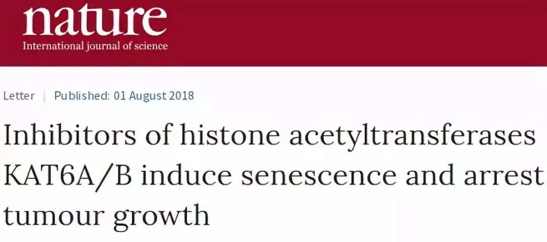 让癌细胞 休眠 Nature首秀 一类奇妙的抗癌新药 精准生物