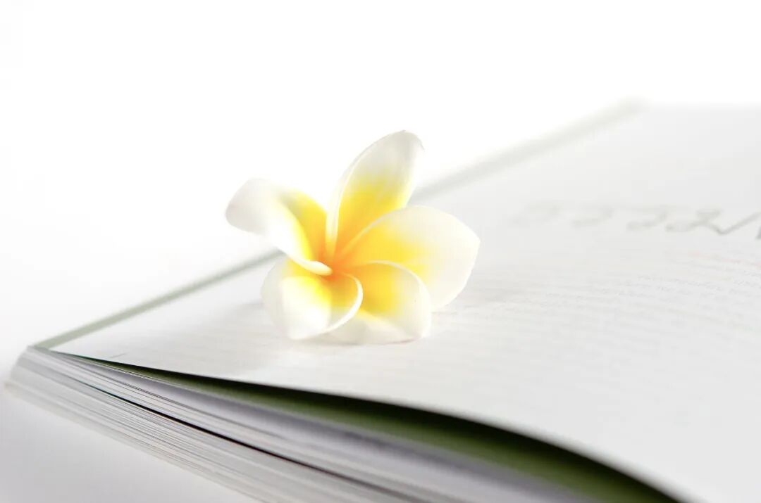 flower on book.jpg