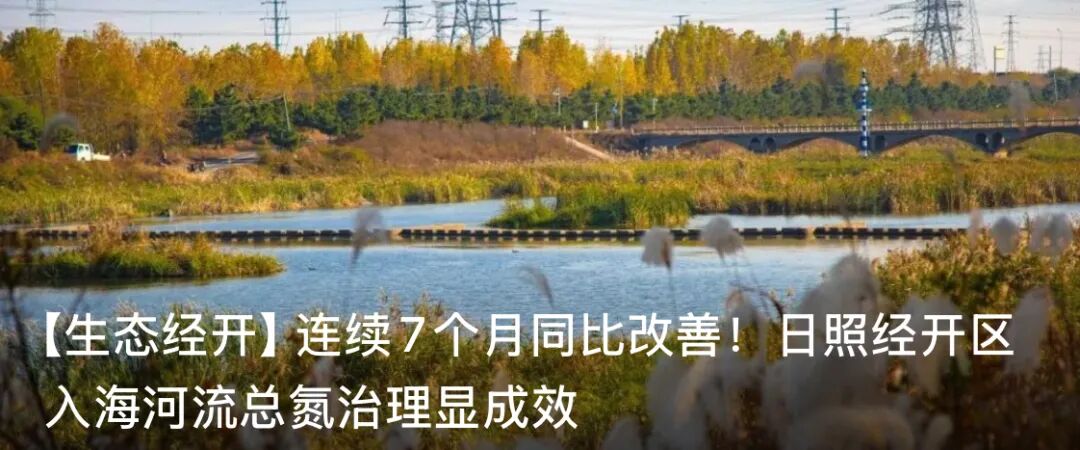 河南翔宇医疗怎么一医疗设备上市公司来区洽谈项目合作_https://www.jmylbn.com_新闻资讯_第5张