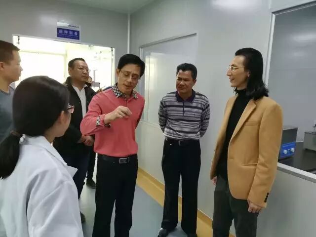 新会区政府副区长黄锐楼 右3]在新宝堂董事长陈柏忠 右1]陪同下在