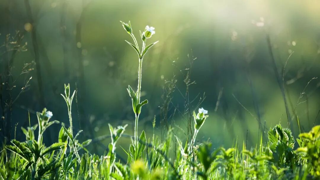 被空调房「偷」走的阳气，如何找天「补」回来