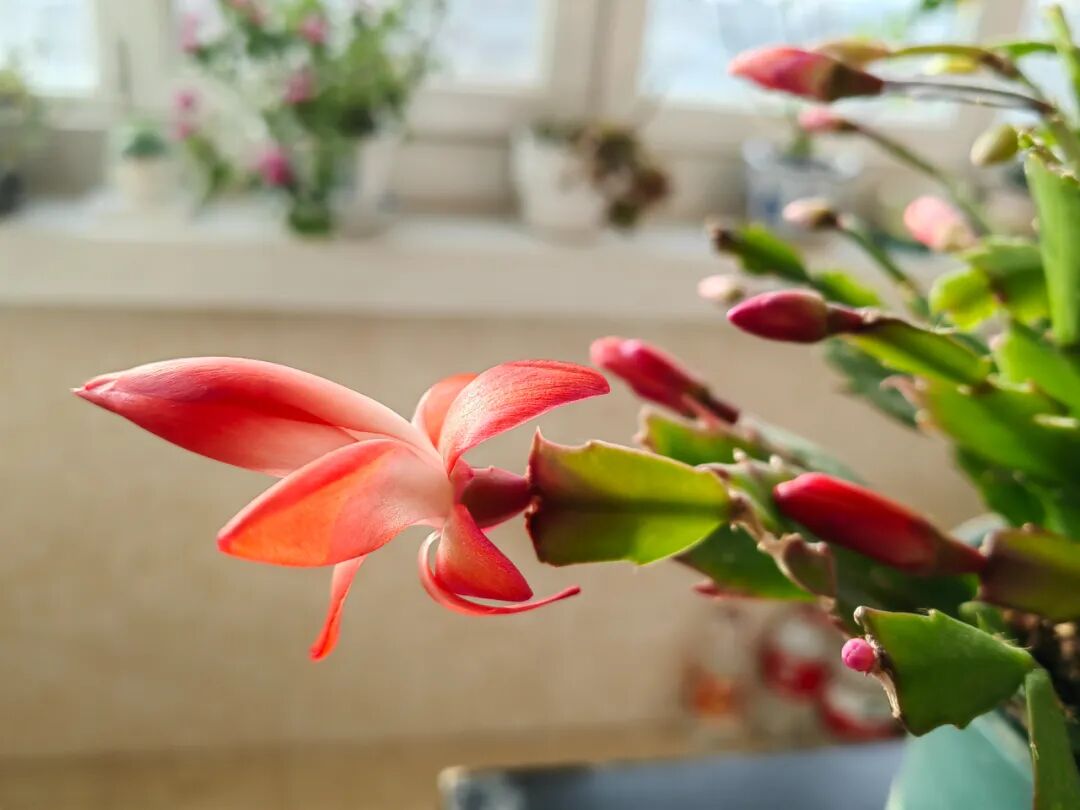 d-spect怎么检查PSMA PET／CT、SPECT／CT检查注意事项_https://www.jmylbn.com_新闻资讯_第1张