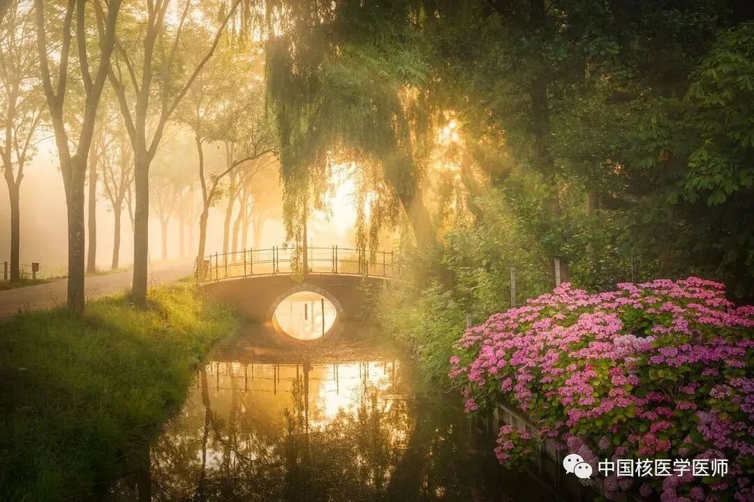 d-spect怎么检查关于D-SPECT的“十问十答”／／第二弹_https://www.jmylbn.com_新闻资讯_第1张