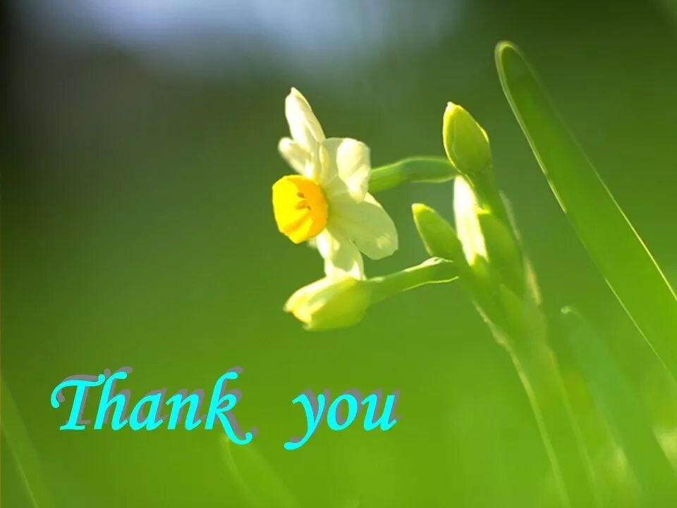 d-spect怎么检查【核汇园】20期：王铁教授 ｜《肺通气-灌注SPECT／CT显像评价肺动脉栓塞》_https://www.jmylbn.com_新闻资讯_第71张