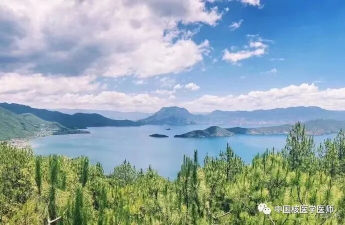 d-spect怎么检查D-SPECT与13N-氨水PET测量CFR最新研究结果在国际顶级期刊发表_https://www.jmylbn.com_新闻资讯_第1张