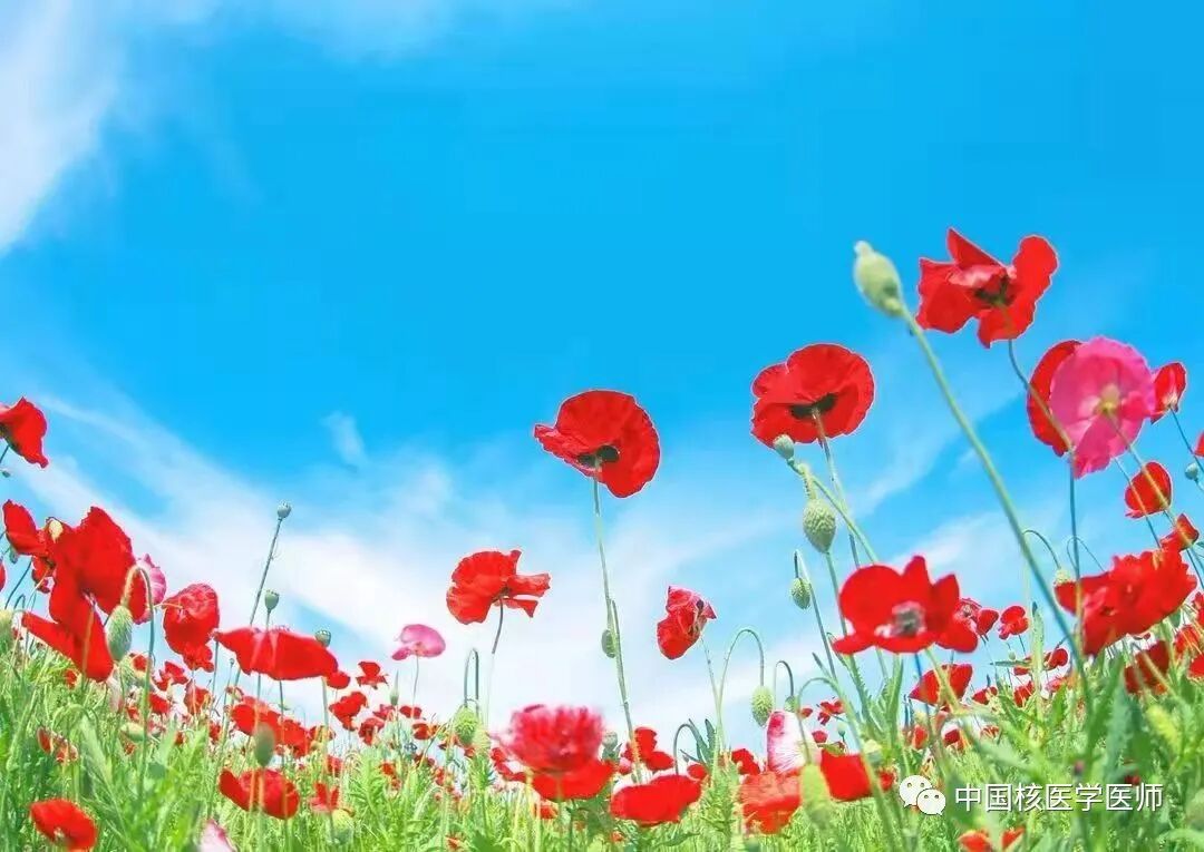 d-spect怎么检查厦门大学附属心血管病医院应用D-SPECT筛查出突变型心肌淀粉样变家系_https://www.jmylbn.com_新闻资讯_第1张