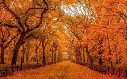 d-spect怎么检查【核汇园】20期：王铁教授 ｜《肺通气-灌注SPECT／CT显像评价肺动脉栓塞》_https://www.jmylbn.com_新闻资讯_第3张