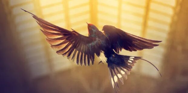 oscar2怎么读双语伴读｜Oscar Wilde： The Happy Prince（Episode 1）_https://www.jmylbn.com_新闻资讯_第6张