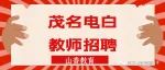 招30名编制老师！2023年茂名市电白区公开招聘急需紧缺专业人才公告