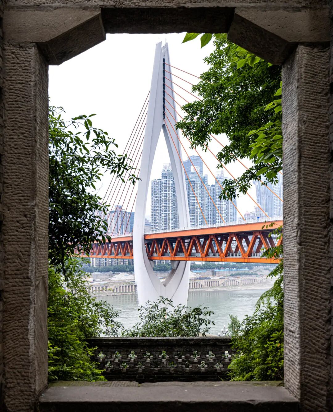 这些游客“自创”的重庆打卡点，本地人追着求攻略！