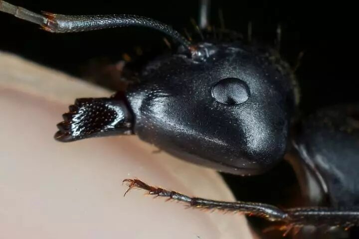 微觀世界 它們成天伴你左右 你卻並不瞭解 華龍網 微文庫