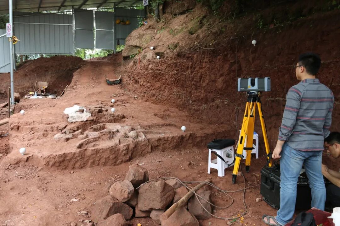 现场发掘。受访者供图
