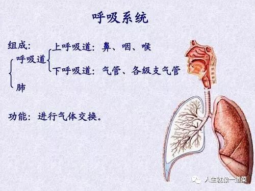 什么是数字肺是否肺炎？汉泓医疗数字听诊器帮到你_https://www.jmylbn.com_新闻资讯_第2张