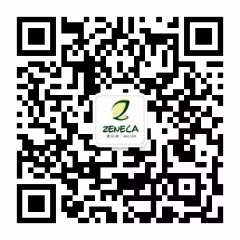 第八届CAAE国际癫痫论坛，精彩内容解读