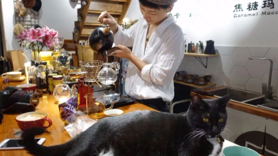 最美空中咖啡之旅，即将刷爆你的朋友圈！-咖报咖啡网