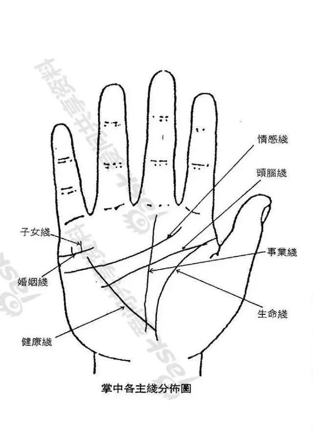 手相掌纹入门篇 感情线 生命线 智慧线等各代表什么意思呢 关关说事 微信公众号文章阅读 Wemp