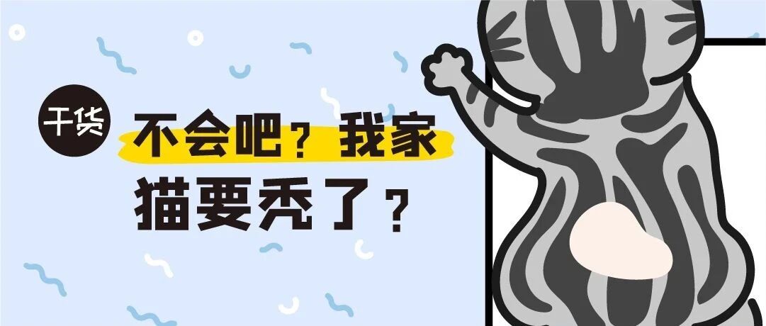 猫咪疯狂舔毛到秃?!心理抑郁的求救信号，一定要注意!
