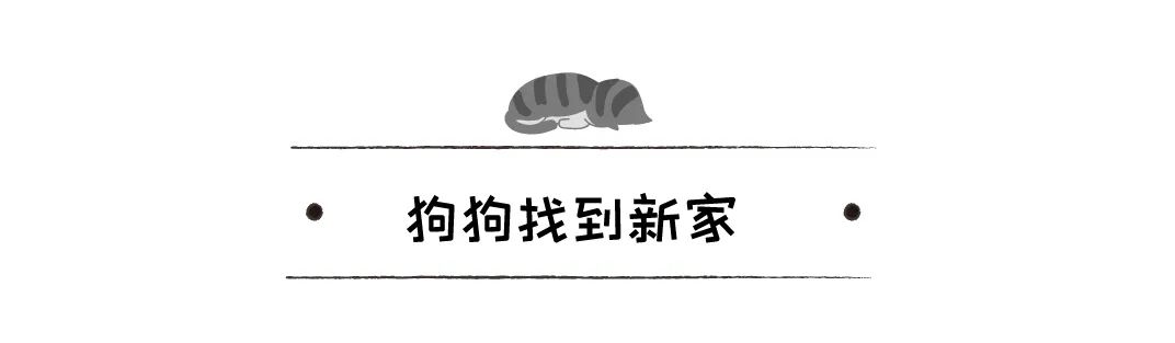 狗狗收容所裡盼來原主人，本以為主人來救它，沒想到他領養了別的狗 寵物 第21張