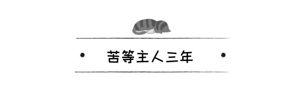 狗狗收容所裡盼來原主人，本以為主人來救它，沒想到他領養了別的狗 寵物 第6張