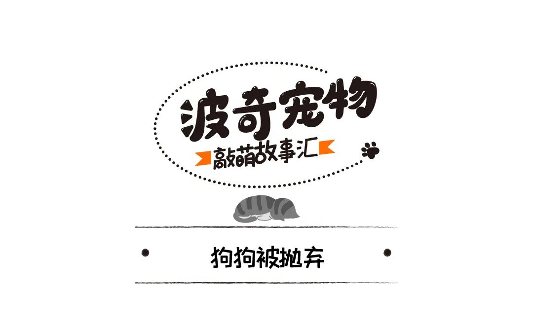 狗狗收容所裡盼來原主人，本以為主人來救它，沒想到他領養了別的狗 寵物 第2張