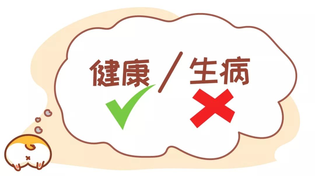 狗狗總是聞其他狗的屁屁……？雖然有點污，但不要制止 未分類 第4張