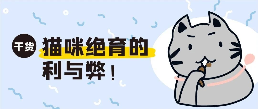 一想到猫咪要做手术就好担心，难道一定要绝育吗？