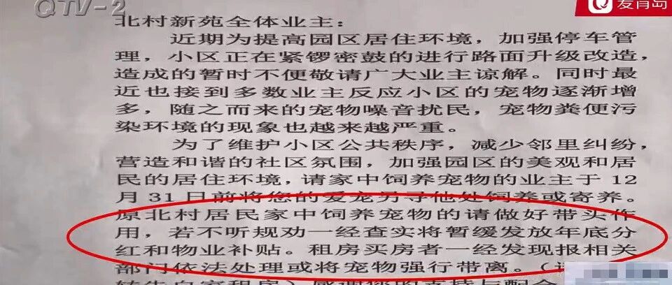 青岛一小区全面禁养宠物，业主：“谁敢伤害我的狗 ，我就能拿命拼！”