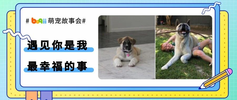 留言赢正装猫粮|全网挑战“与爱宠重拍老照片”，有的还在身边，有的却只剩回忆..