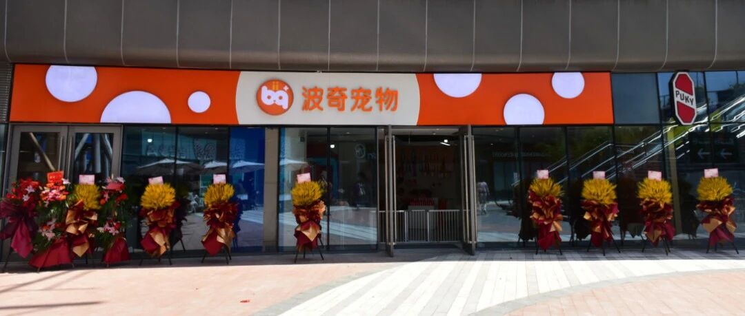 大事件!!波奇宠物首家线下体验店沪上开业，吸猫、撸狗快乐无限!!