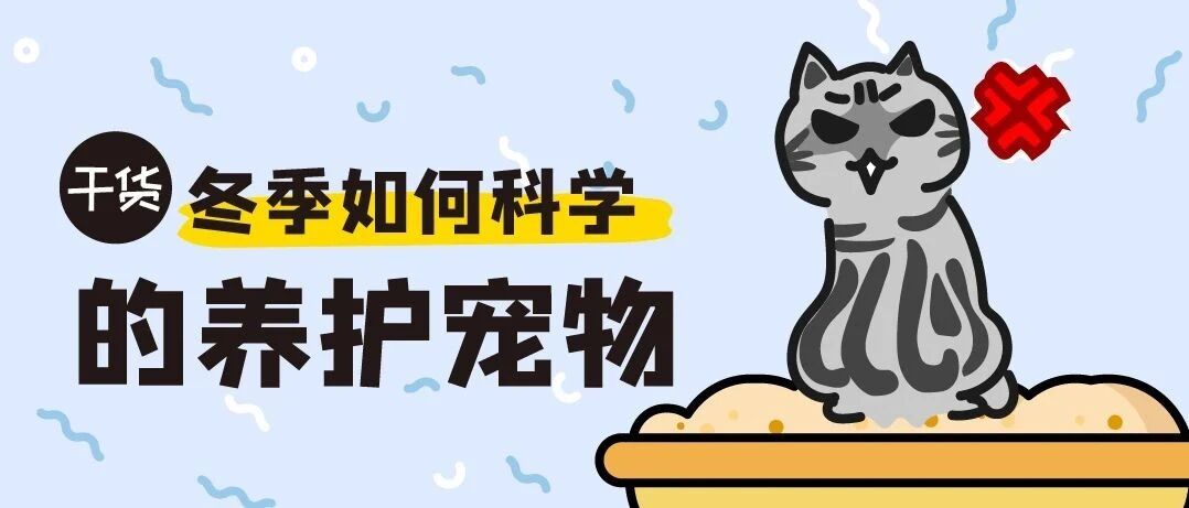 宠物冬季易患疾病需注意！让毛孩子顺利度过换季期