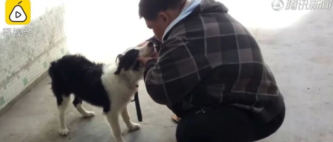 想减肥？养只狗吧！这只狗狗帮主人一年瘦了260多斤