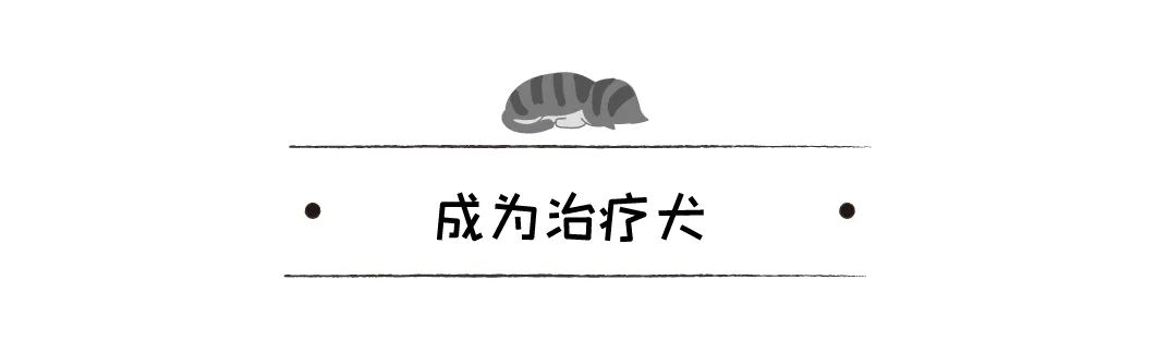 鬥犬耳朵被撕碎，受救助後竟變成治療犬，還逆襲成迪士尼公主 寵物 第16張