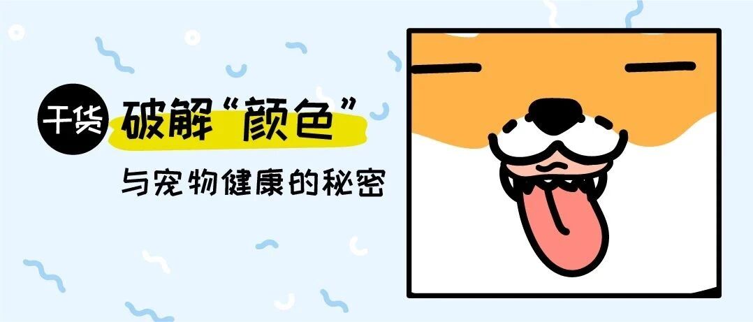 狗狗“颜色”里的知识！教你快速通过尿液、牙龈颜色，判断狗狗健康状况