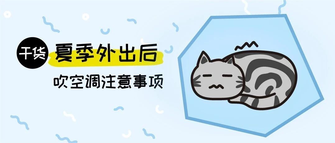 夏天宠物也会得“空调病”！注意这3点，避开夏季养宠雷区！