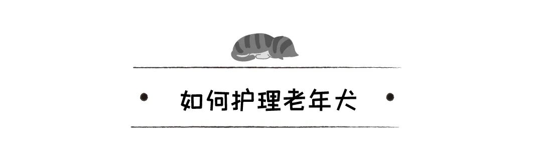 18歲老狗被拋棄，主人留言：我妻子討厭它，它又瞎又蠢還有病！ 寵物 第16張