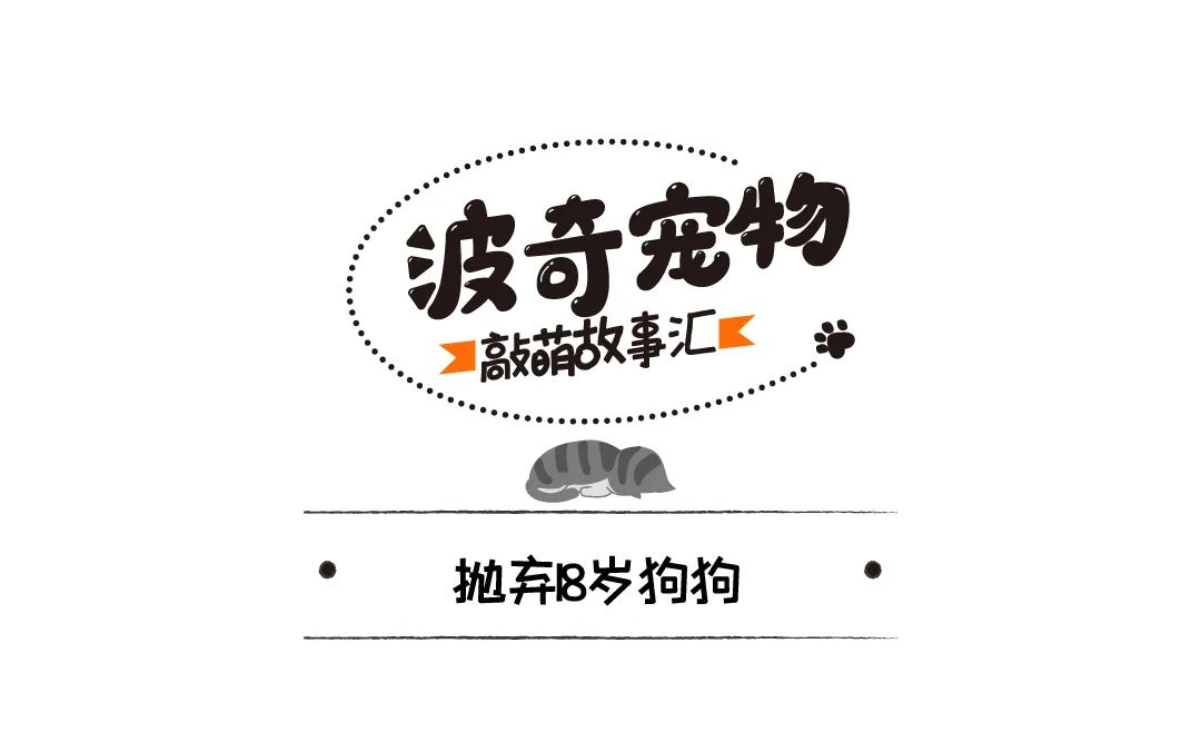 18歲老狗被拋棄，主人留言：我妻子討厭它，它又瞎又蠢還有病！ 寵物 第2張