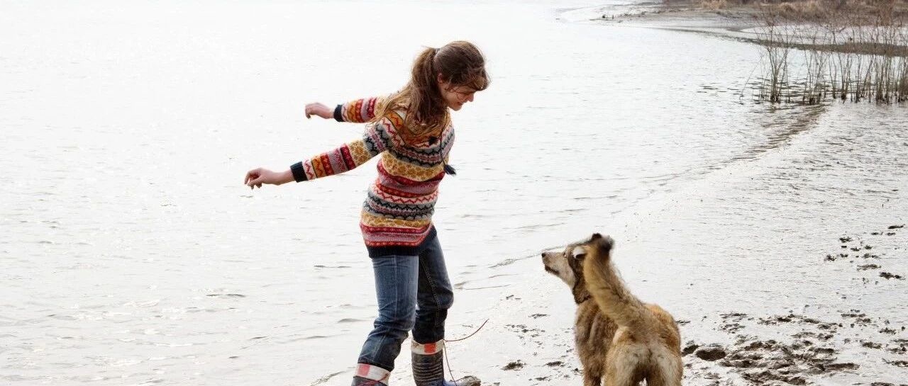 狗狗把主人当父母的几种举动，如果都中了，说明它很爱你！