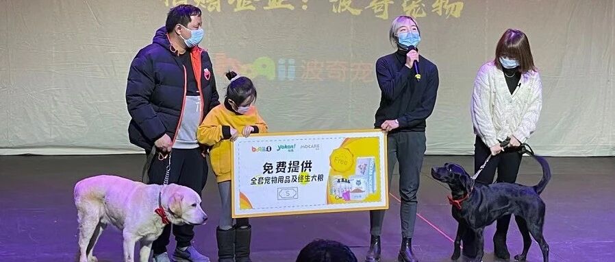 波奇宠物携手怡亲 助力中国导盲犬事业快速发展