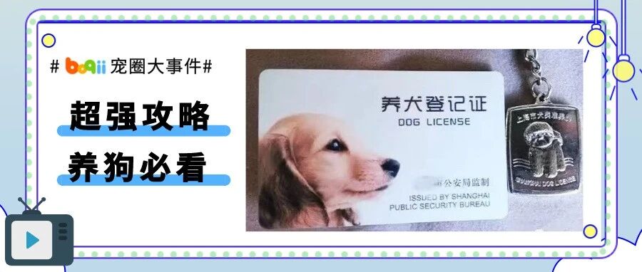 史上超强《各地狗证办理攻略》，立即收藏!