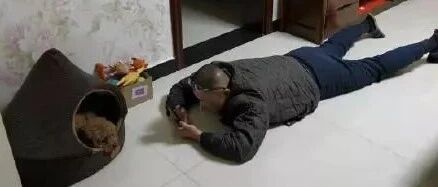 父母：你敢养宠物我就把它扔出去！现在：真香……