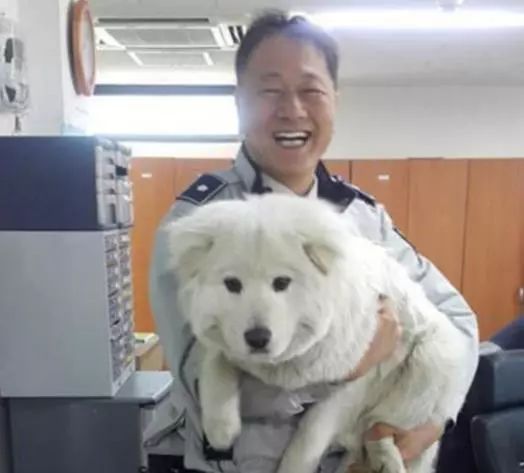 金毛冒充「警犬」騙吃騙喝，阿拉斯加把警局都要吃垮了！警察叔叔：有點崩潰…… 寵物 第15張