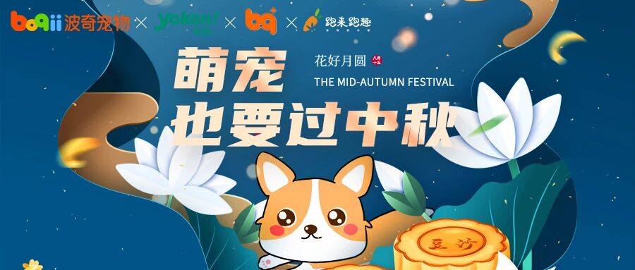 【波奇会员专享】9.11 上海 ，宠物月饼DIY活动招募，和主子一起过中秋！