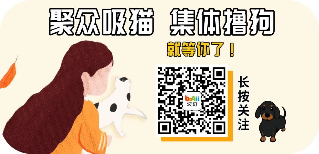 女朋友要求丢掉养了3年的猫,只因猫天生吃肉?!小哥怒而分手:想都别想!-微信头条网 女朋友要求丢掉养了3年的猫,只因猫天生吃肉?!小哥怒而分手:想都别想!