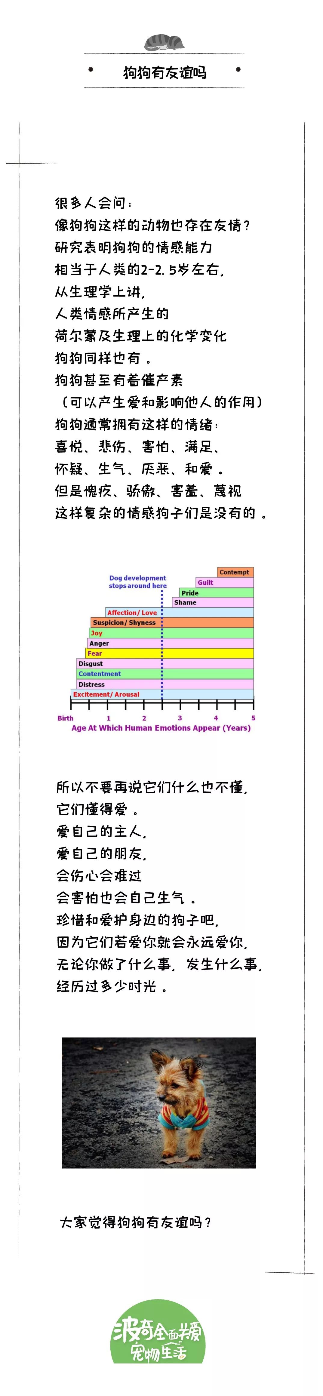 「狗」富貴，勿相忘！這些狗子們做到了 寵物 第8張